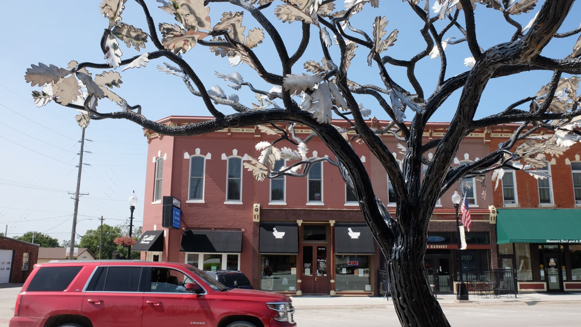 The oak tree
